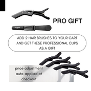 Balmain Hair Clips Hair 4 pcs