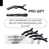 Balmain Hair Clips Hair 4 pcs