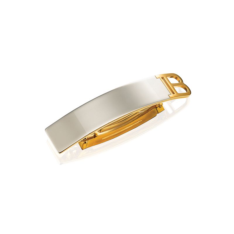 BalmainHair_Accessoires_BarrettePourCheveux_Silver_Gold_Medium_HJ_GP_BAR_M_SH_0_6c99.jpg