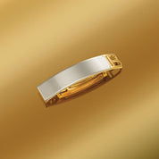 Barrette Pour Cheveux Medium Silver/Gold